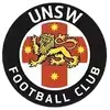 新南威尔士大学U20